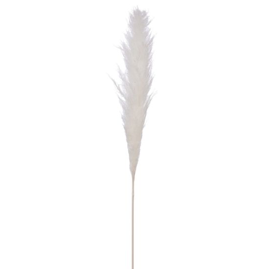 Picture of DRIED FLOWERS - SINGLE WRAPPED PAMPAS GRASS STEM 118cm WHITE