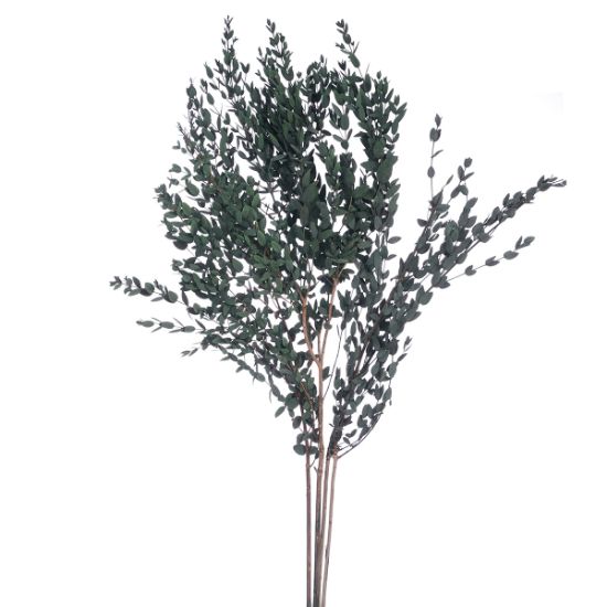 Picture of DRIED FLOWERS - LEAF SPRAY (100 grams) GREEN