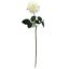 Picture of 63cm REAL TOUCH TEA ROSE IVORY