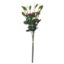 Picture of 62cm BERRY & FOLIAGE BUNDLE (3 STEMS) GREEN/RED