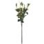 Picture of 62cm BERRY & FOLIAGE BUNDLE (3 STEMS) GREEN/ORANGE