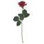 Picture of 42cm REAL TOUCH SINGLE DIAMOND ROSE RED