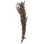 Picture of DRIED FLOWERS - LEAF SPRAY (100 grams) ORANGE