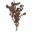 Picture of DRIED FLOWERS - EUCALYPTUS (100 grams) ORANGE/BURGUNDY