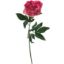 Picture of 60cm REAL TOUCH PEONY DARK PINK