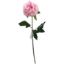 Picture of 60cm REAL TOUCH PEONY PINK