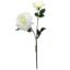 Picture of 60cm REAL TOUCH DAHLIA SPRAY IVORY