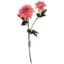 Picture of 60cm REAL TOUCH DAHLIA SPRAY PINK
