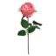 Picture of 41cm REAL TOUCH GLOBE ROSE PINK
