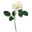 Picture of 39cm REAL TOUCH GARDENIA ROSE IVORY