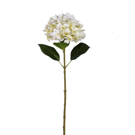 Picture of 63cm SINGLE LARGE HYDRANGEA IVORY