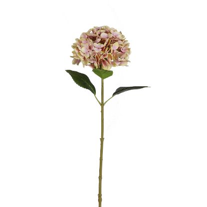 Picture of 63cm SINGLE LARGE HYDRANGEA PINK/GREEN
