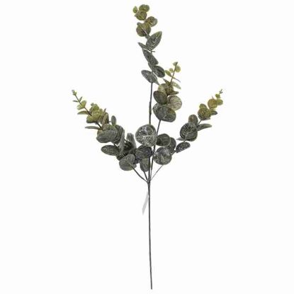 Picture of 77cm EUCALYPTUS SPRAY GREEN