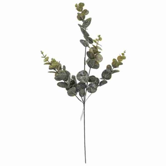 Picture of 77cm EUCALYPTUS SPRAY GREEN