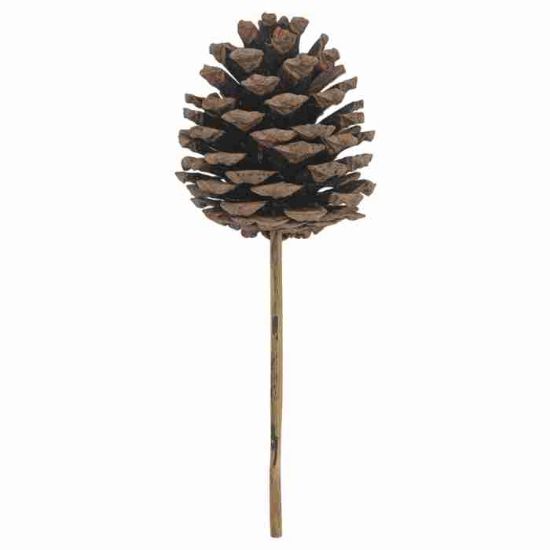 Picture of 4-5cm PINECONE ON SHORT BAMBOO STICK NATURAL X 1152pcs