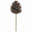 Picture of 4-5cm PINECONE ON SHORT BAMBOO STICK NATURAL X 1152pcs
