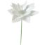 Picture of 13cm SINGLE VELVET TOUCH POINSETTIA ON 19cm STEM WHITE X 144pcs