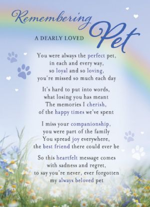 Picture of PLASTIC COATED MEMORIAL CARD X 6pcs - REMEMBERING A DEARLY LOVED PET