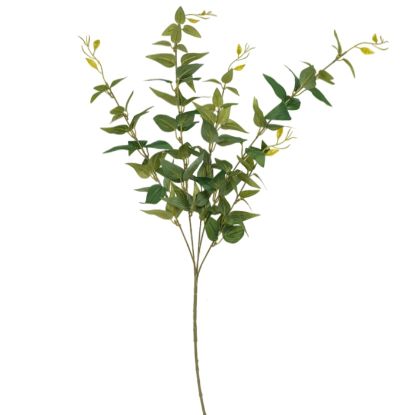 Picture of 89cm ITALIAN RUSCUS FOLIAGE SPRAY GREEN