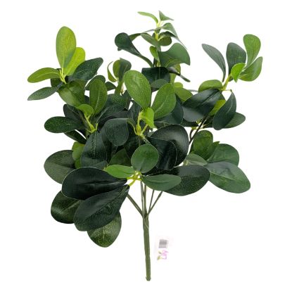 Picture of 40cm EUONYMUS FOLIAGE BUSH GREEN