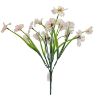 Picture of 33cm MINI DAISY BUSH ASSORTED X 60pcs