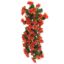 Picture of 56cm NASTURTIUM TRAILING BUSHORANGE