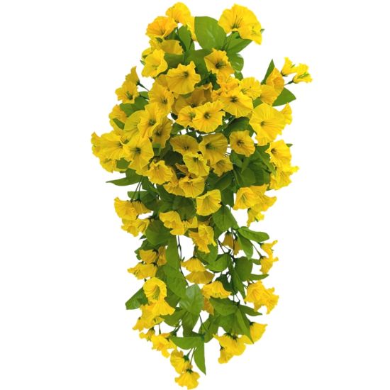 Picture of 50cm MORNING GLORY TRAILING BUSH YELLOW