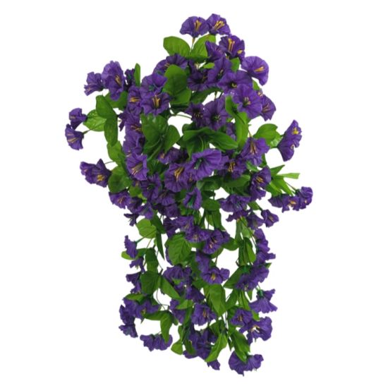 Picture of 50cm MORNING GLORY TRAILING BUSH PURPLE