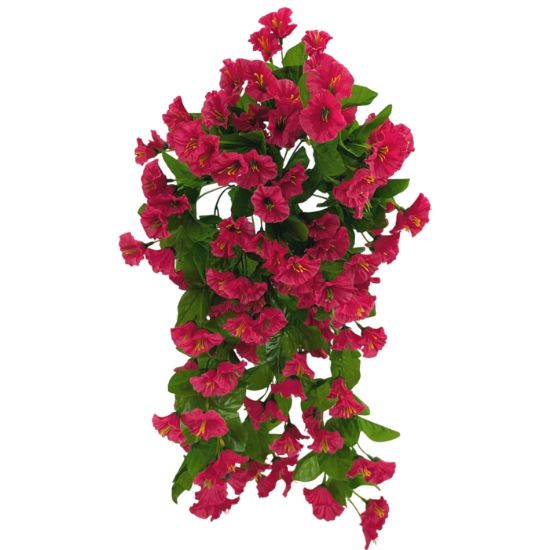 Picture of 50cm MORNING GLORY TRAILING BUSH FUCHSIA