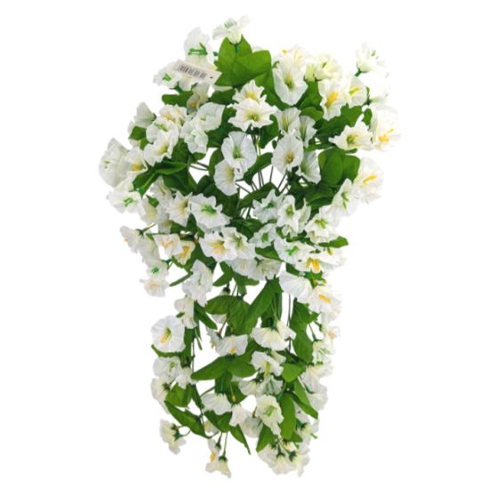 Picture of 50cm MORNING GLORY TRAILING BUSH IVORY