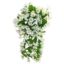 Picture of 50cm MORNING GLORY TRAILING BUSH IVORY