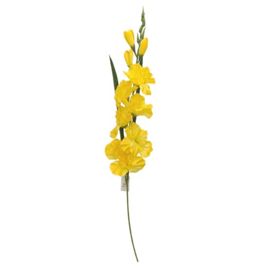 Picture of 78cm GLADIOLUS SPRAY YELLOW