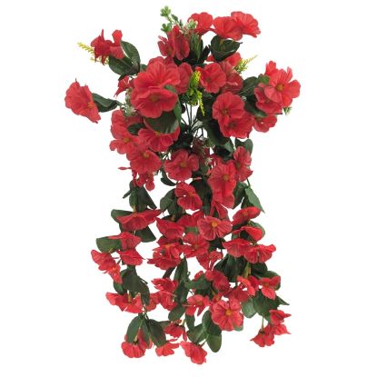 Picture of 56cm NASTURTIUM TRAILING BUSH RED