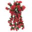 Picture of 56cm NASTURTIUM TRAILING BUSH RED