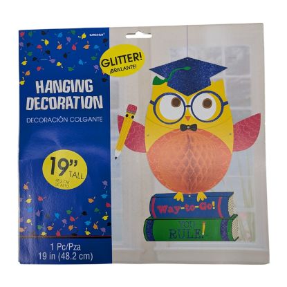 Picture of AMSCAN 48cm HANGING DECORATION GRADUATION OWL