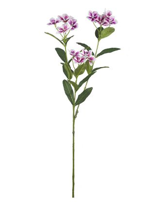 Picture of 68cm PERIWINKLE SPRAY FUCHSIA/WHITE