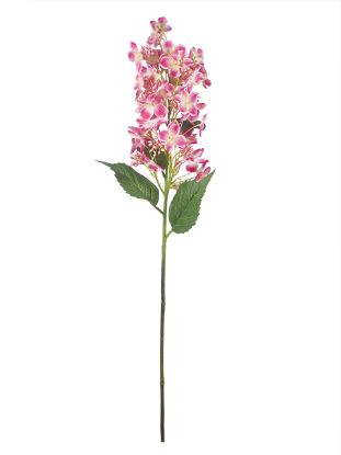 Picture of 80cm XL PANICLE HYDRANGEA PINK/WHITE