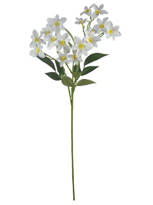 Picture of 72cm MINI CLEMATIS SPRAY WHITE